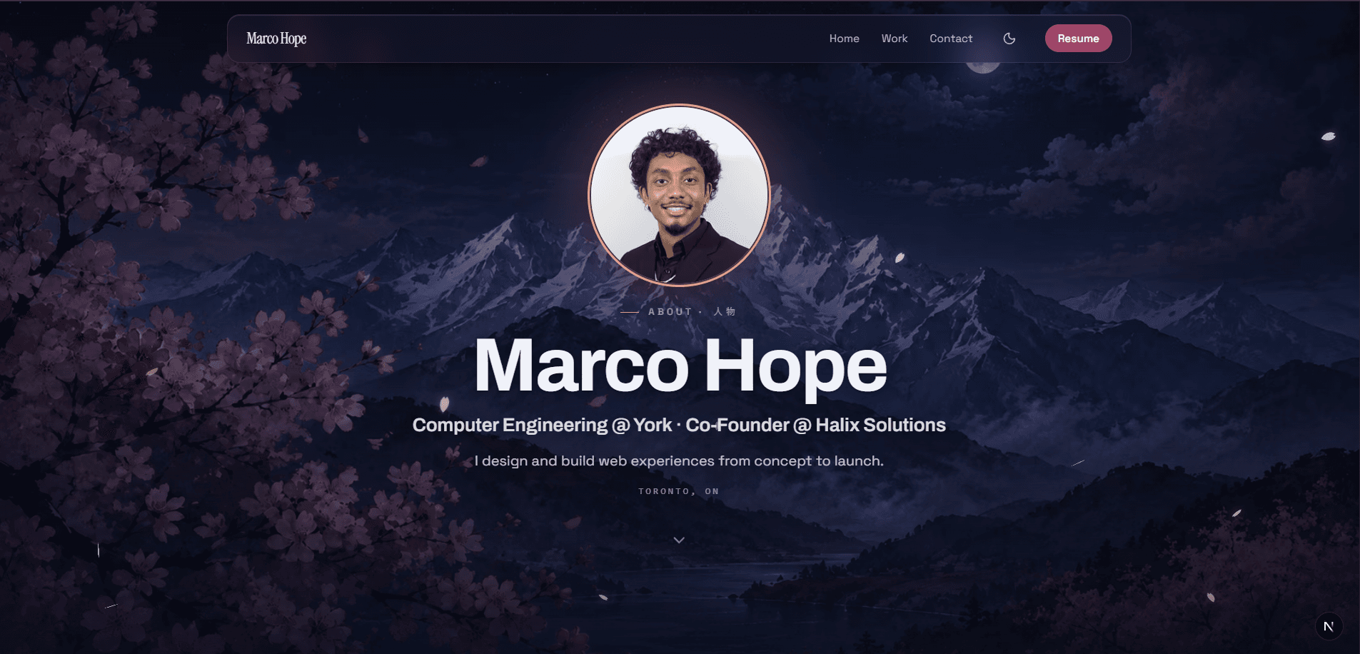 This Portfolio — view 1 of 3