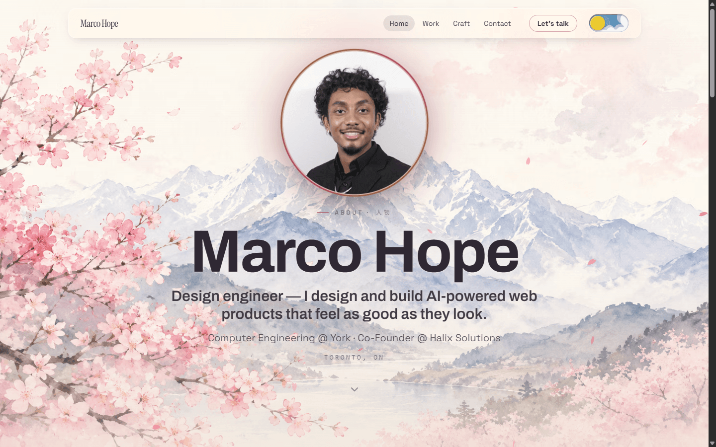 This Portfolio — Portfolio Site