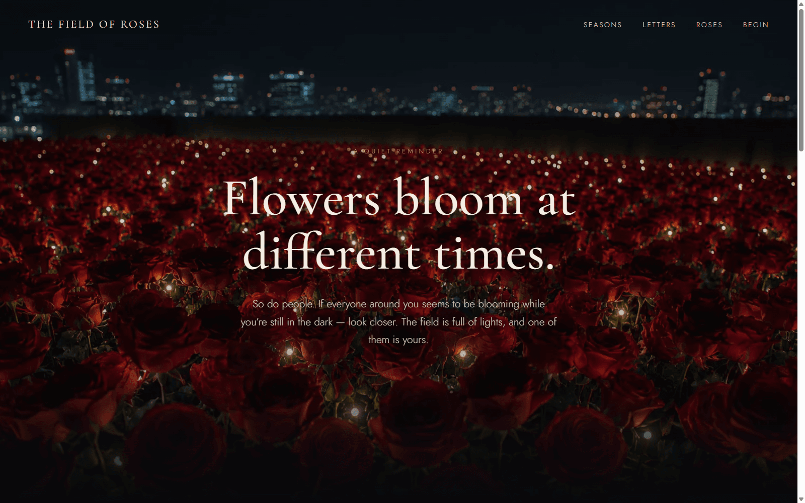 The Field of Roses — view 2 of 5