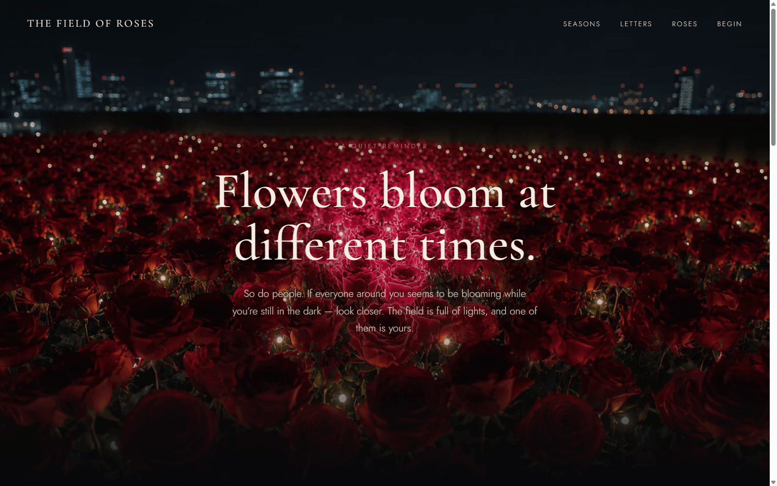 The Field of Roses — Interactive Single-Page Experience
